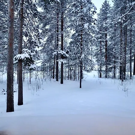 Pikkukelo - Doorstep Bus - Sauna - Traditional Log