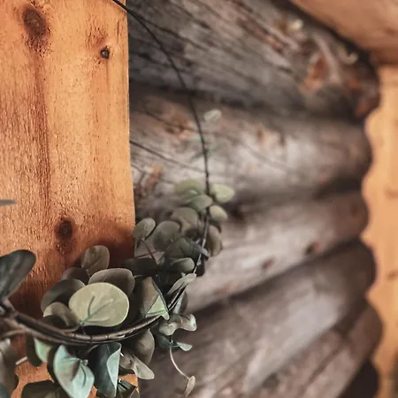 Pikkukelo - Doorstep Bus - Sauna - Traditional Log Huoneisto